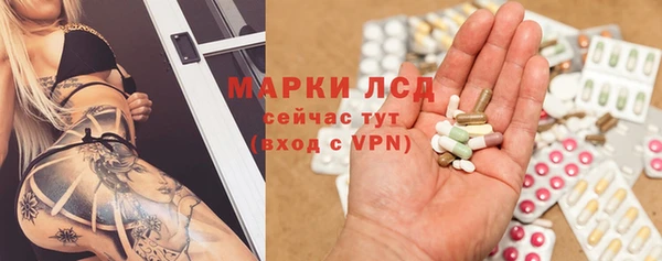 крисы Вязники